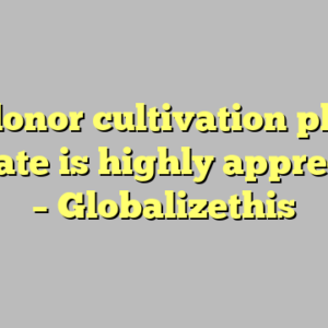 9 donor cultivation plan template is highly appreciated – Globalizethis