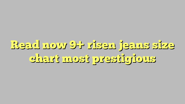 Risen Jean Shorts Size Chart