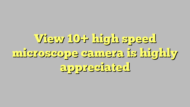 View 10 High Speed Microscope Camera Is Highly Appreciated Công Lý And Pháp Luật