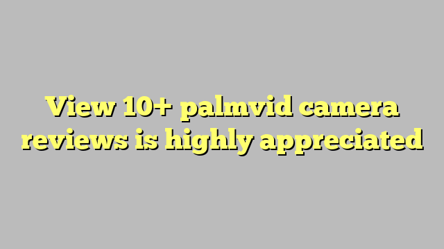 View 10 Palmvid Camera Reviews Is Highly Appreciated Công Lý And Pháp Luật