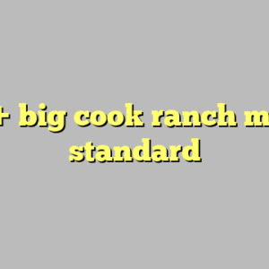 10+ big cook ranch most standard