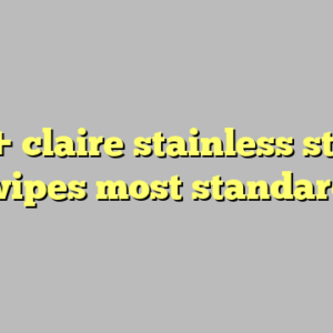 10+ claire stainless steel wipes most standard