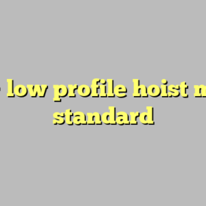 10+ low profile hoist most standard