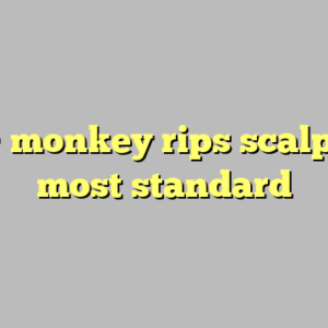 10+ monkey rips scalp off most standard