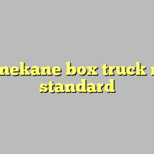 10+ nekane box truck most standard