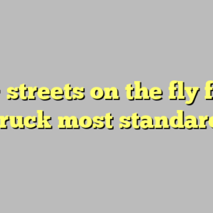 10+ streets on the fly food truck most standard