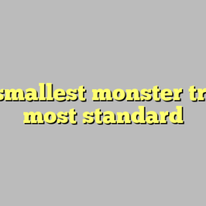 8+ smallest monster truck most standard