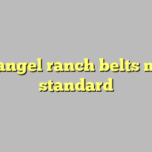 9+ angel ranch belts most standard