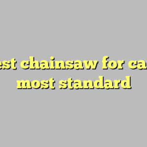 9+ best chainsaw for carving most standard
