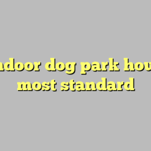 9+ indoor dog park houston most standard