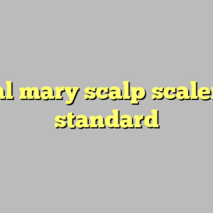 9+ real mary scalp scaler most standard