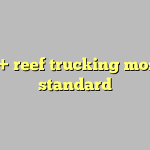 9+ reef trucking most standard