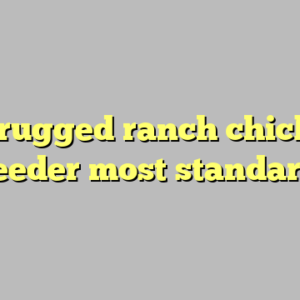 9+ rugged ranch chicken feeder most standard