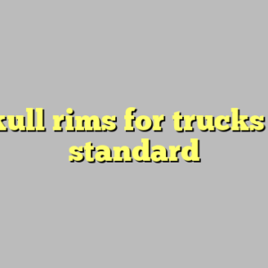 9+ skull rims for trucks most standard