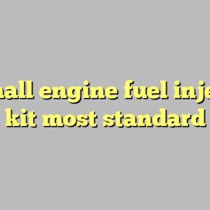 9+ small engine fuel injection kit most standard