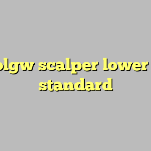 9+ solgw scalper lower most standard