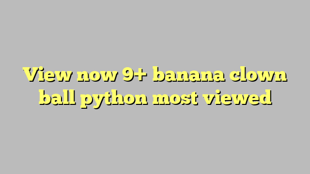 view now 9 banana clown ball python most viewed công lý pháp luật