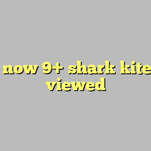 View now 9+ shark kite most viewed