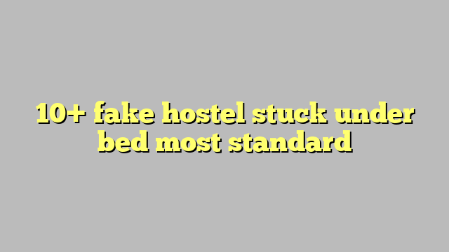 10 Fake Hostel Stuck Under Bed Most Standard Công Lý And Pháp Luật 