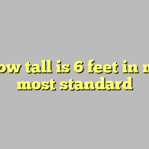 10+ how tall is 6 feet in meters most standard