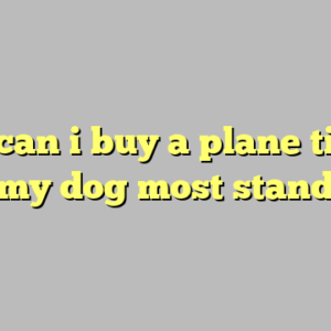 10+ can i buy a plane ticket for my dog most standard