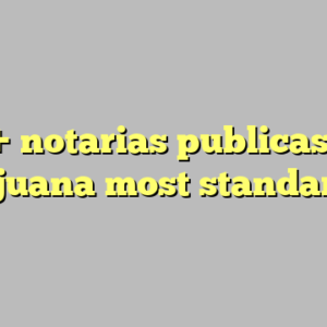 10+ notarias publicas en tijuana most standard