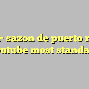 10+ sazon de puerto rico youtube most standard