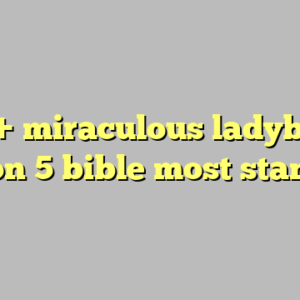 10+ miraculous ladybug season 5 bible most standard