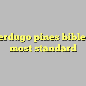 10+ verdugo pines bible camp most standard