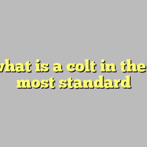 10+ what is a colt in the bible most standard