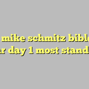 8+ fr mike schmitz bible in a year day 1 most standard