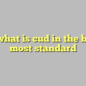 9+ what is cud in the bible most standard