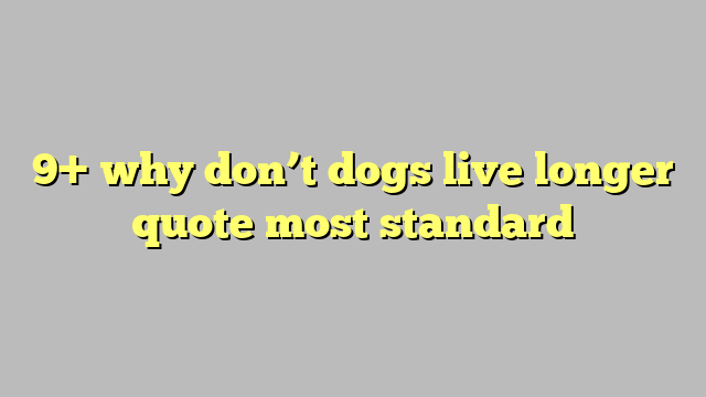 9+ why don't dogs live longer quote most standard - Công lý & Pháp Luật