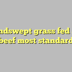 9+ windswept grass fed angus beef most standard