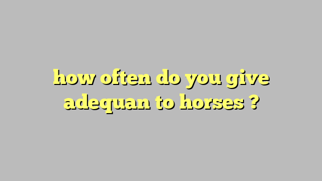 How Often Do You Give Adequan To Horses