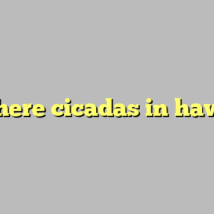 are there cicadas in hawaii ?