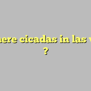 are there cicadas in las vegas ?