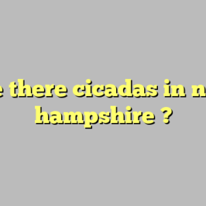are there cicadas in new hampshire ?