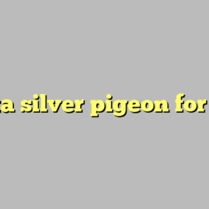 beretta silver pigeon for sale ?
