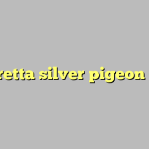 beretta silver pigeon ii ?