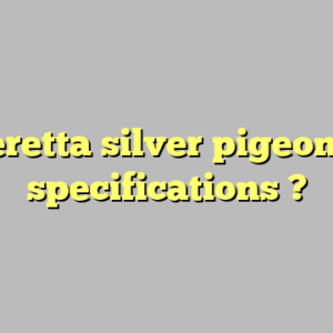 beretta silver pigeon ii specifications ?