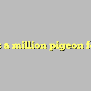 books a million pigeon forge ?