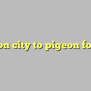 bryson city to pigeon forge ?