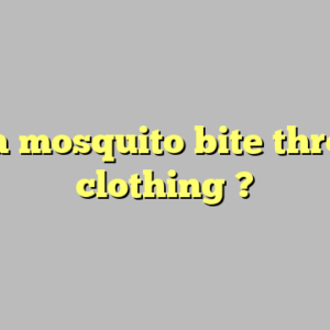 can a mosquito bite through clothing ?
