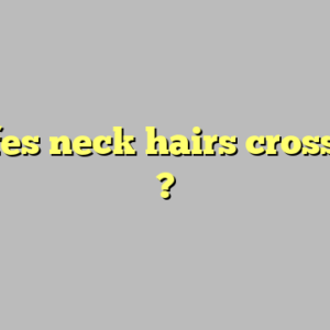 giraffes neck hairs crossword ?