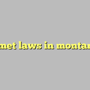 helmet laws in montana ?