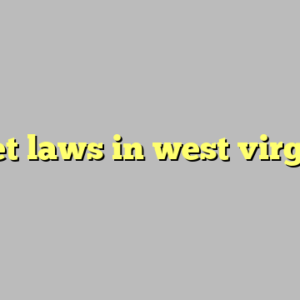 helmet laws in west virginia ?