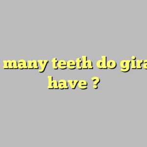 how many teeth do giraffes have ?
