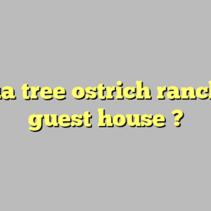 joshua tree ostrich ranch and guest house ?