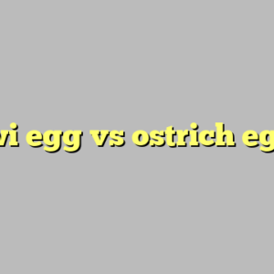 kiwi egg vs ostrich egg ?